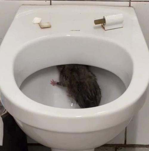 Да от такого зрелища стать можно и заикой. 02