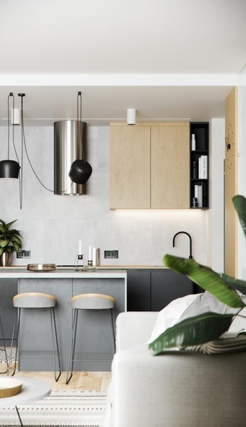 Квартира площадью 50 кв. 03