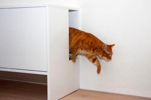 В том случае, если вы хотите спрятать кошачий лоток у себя дома, то отличным вариантом будет использование интерьерных решений. 04