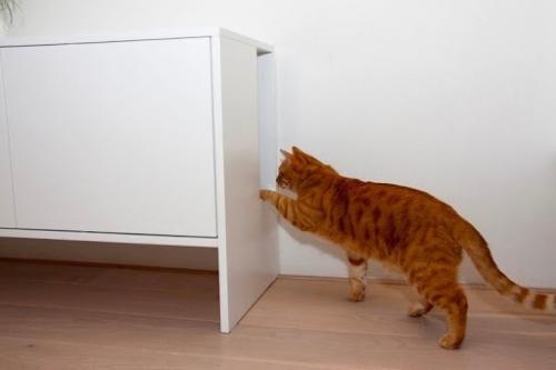 В том случае, если вы хотите спрятать кошачий лоток у себя дома, то отличным вариантом будет использование интерьерных решений. 01