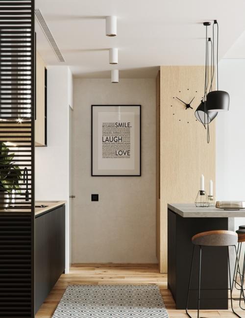 Квартира площадью 50 кв. 04