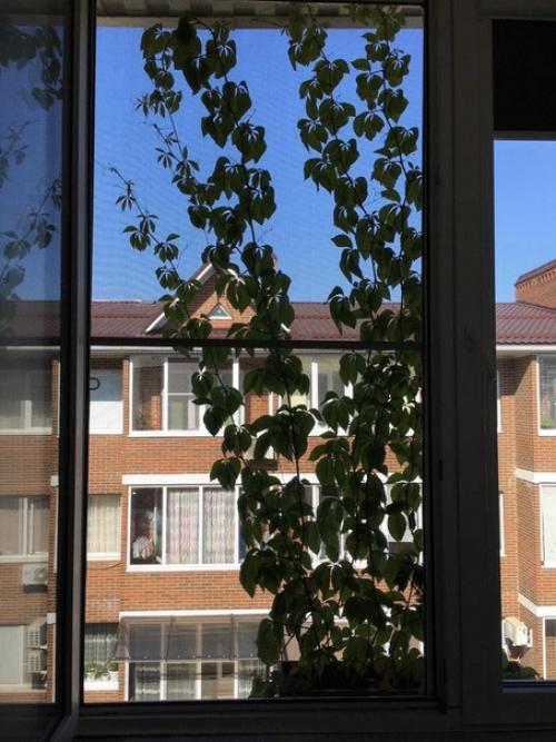 Наша студия.  Для мужа - выделенное место для работки прямо на балкончике. 03