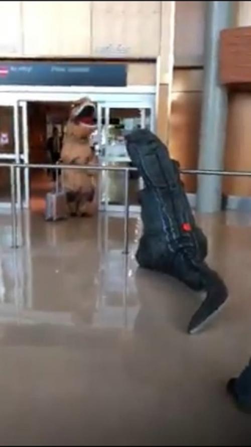 Динозавры в надувных костюмах бабуле сюрприз устроили! 02