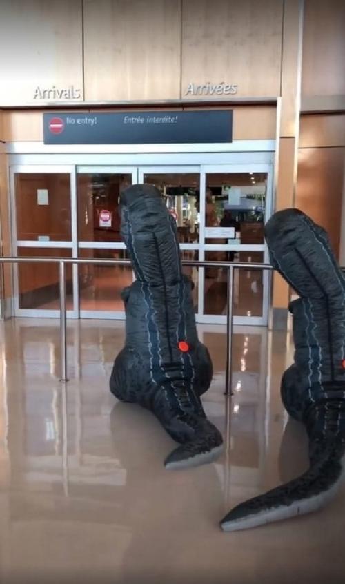 Динозавры в надувных костюмах бабуле сюрприз устроили!