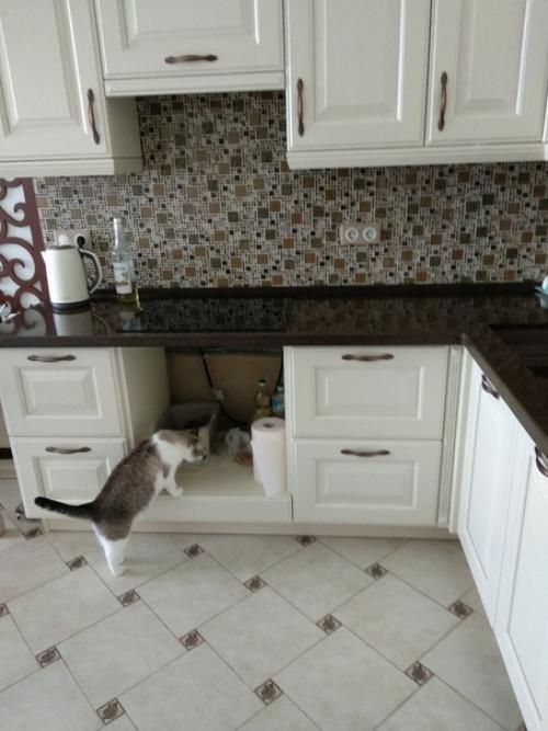 Помогите с выбором духового шкафа.