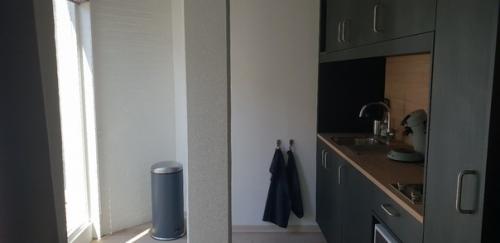 Весьма просторная студия, которую легко можно переделать в несколько комнатную квартиру. 03