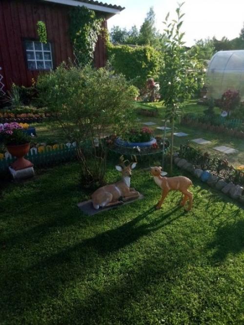 Ремонт ремонтом, а вы попробуйте облагородить участок с площадью превышающей всякую жилую недвижимость. 04