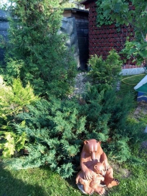 Ремонт ремонтом, а вы попробуйте облагородить участок с площадью превышающей всякую жилую недвижимость. 05