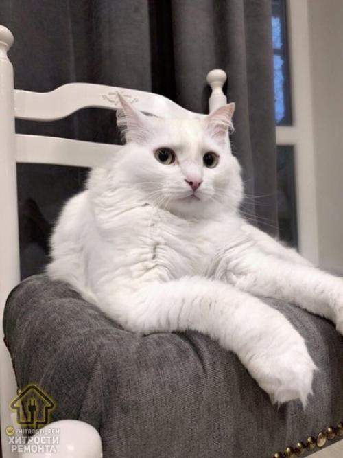 Девушка видела у нас материалы, как люди давали новую жизнь старой мебели и поделилась своей проделанной работой. 08