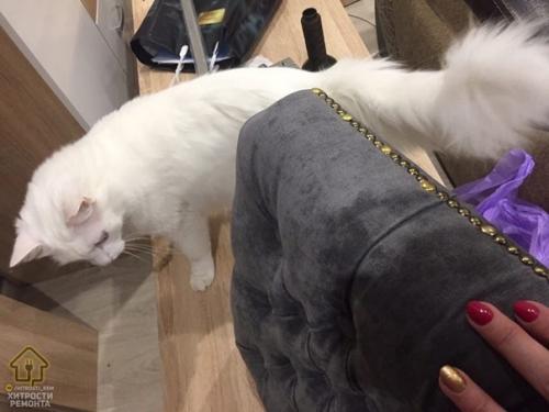 Девушка видела у нас материалы, как люди давали новую жизнь старой мебели и поделилась своей проделанной работой. 06