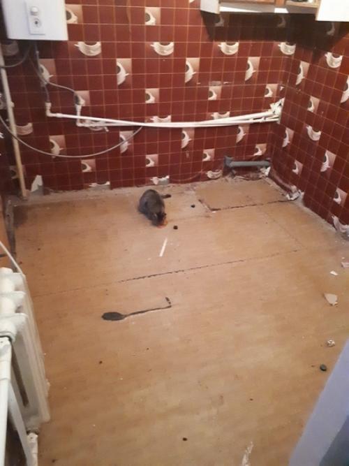 Давайте с вами мы рассмотрим кухню 19 летнего молодого человека, который собственноручно за полтора месяца сделал в ней ремонт. 01