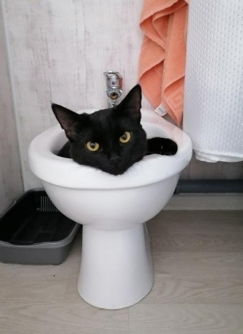 Мы приобрели комнату площадью 15 м 2 в общежитии и превратили ее в уютную студию. 08