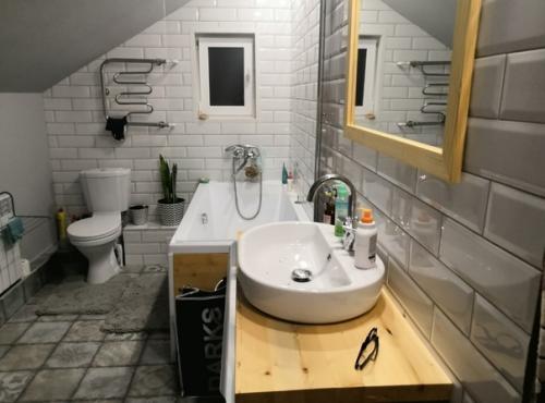 Вот такую ванную комнату мы у себя на чердаке забабахали. 05