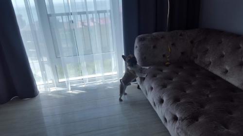 Показываю ремонт в нашей квартире который нам сделали. 04