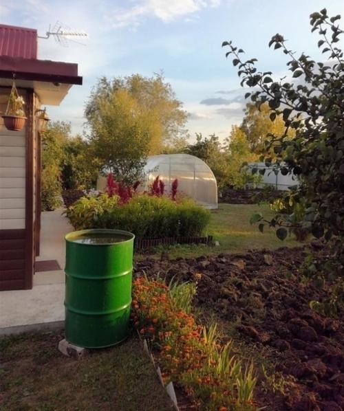 Мужчина с детства любил быть на даче. 04