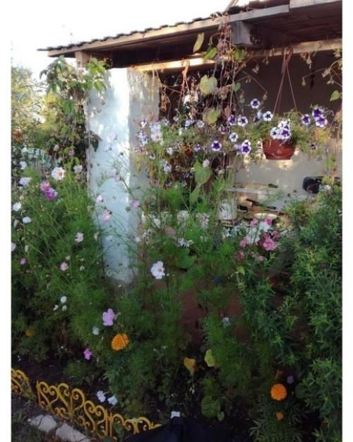 Мужчина с детства любил быть на даче. 01