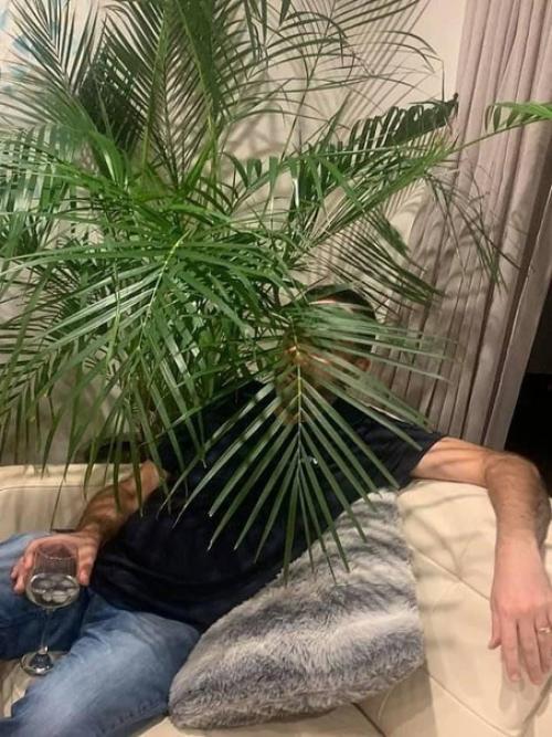 В квартире без растений ни куда. 03