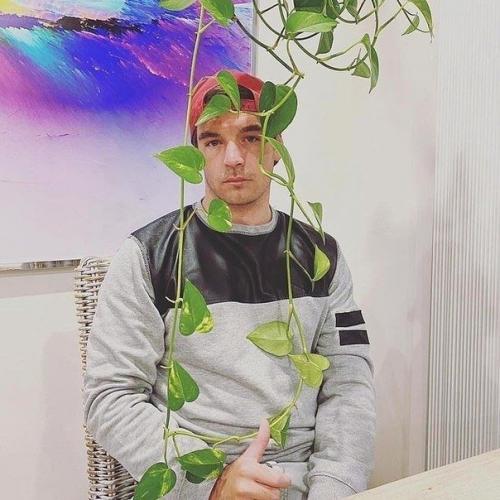 В квартире без растений ни куда. 05