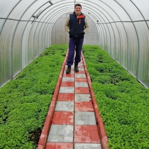 Мужчина с детства любил быть на даче. 06