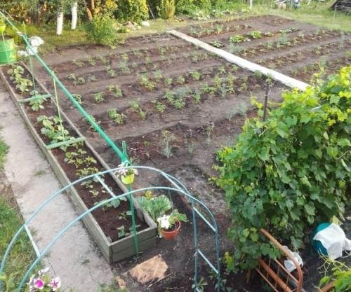 Мужчина с детства любил быть на даче. 05