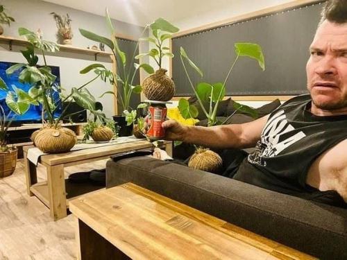 В квартире без растений ни куда. 04