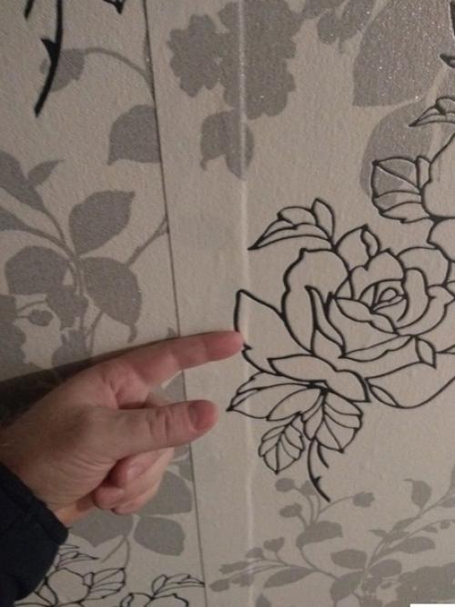 И это все нам сделал так называемый Профессиональный Мастер, которого нам посоветовали. 01