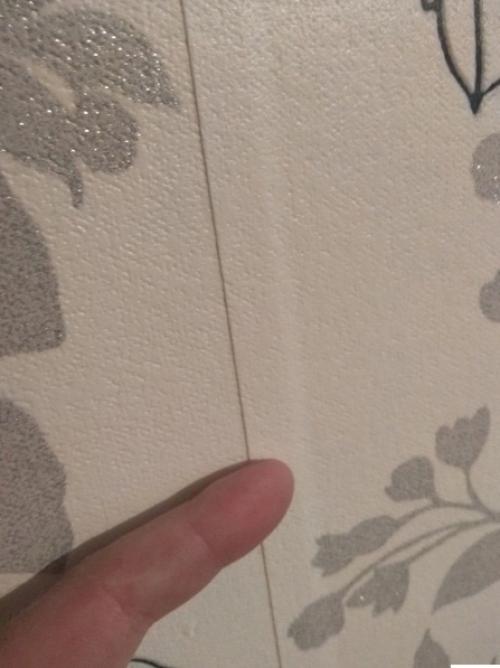 И это все нам сделал так называемый Профессиональный Мастер, которого нам посоветовали. 02