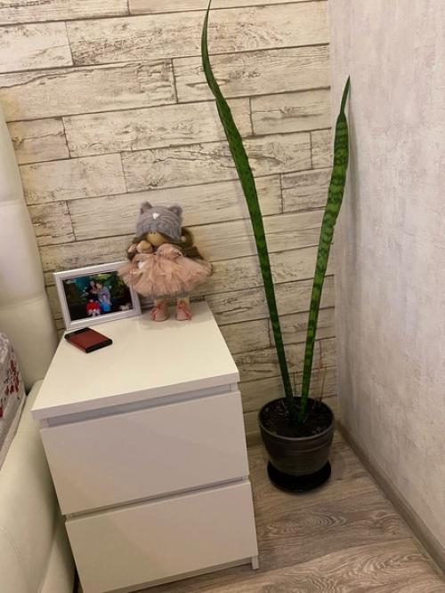 Такая спальня у нас получилась, площадь 15 квадратов. 07