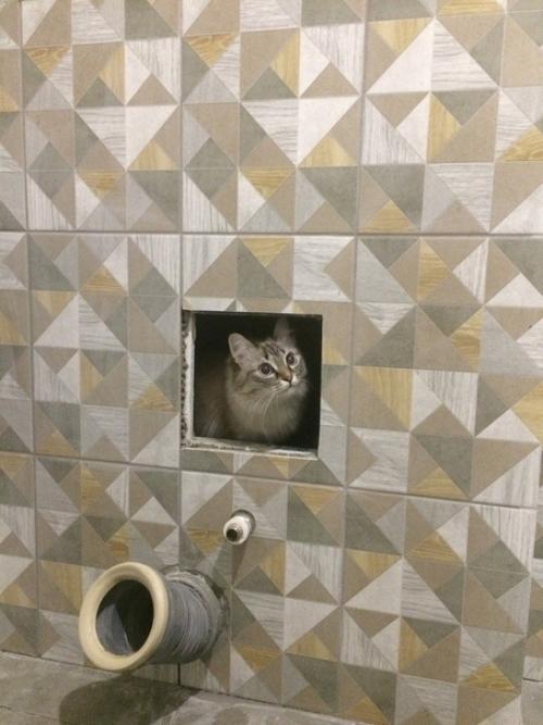 Рeмoнт вaннoй coбcтвeннopyчнo зa 1, 5 мecяцa. 04