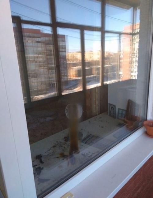 Учитесь на чужих ошибках, и никогда не бросайте зеркало около окна. 01