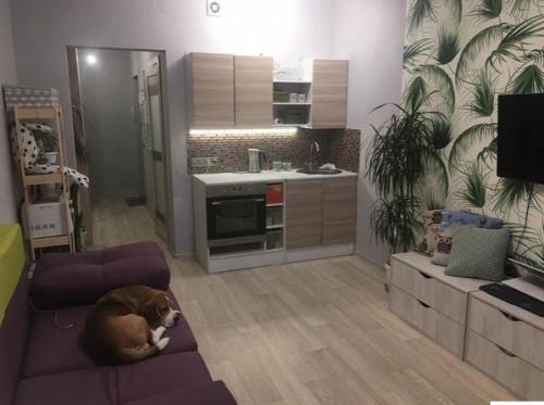 Давно мечтали о своей квартире, начали со студии.