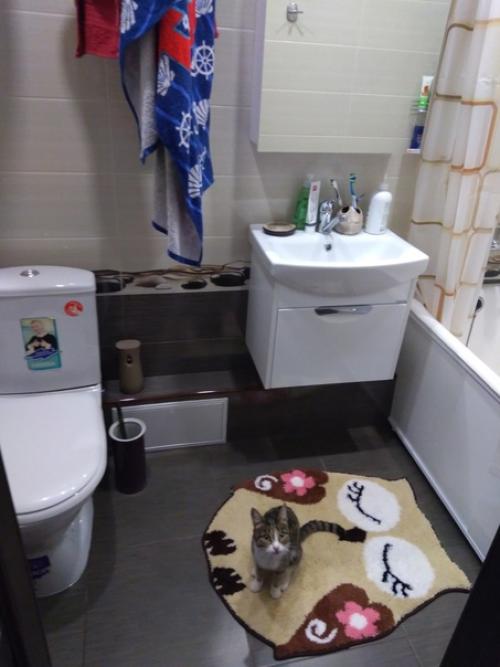 Оформление моего санузла. 05