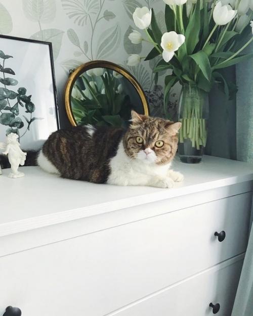 Новый ремонт в квартире в новостройке. 02