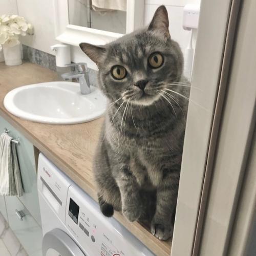 Наняла профессионального фотографа, чтобы сделать снимки моей квартиры во всех подробностях и показать вам. 04