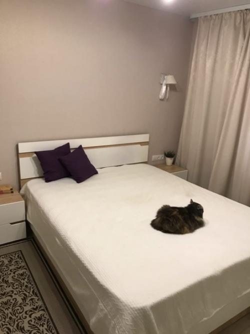 Haш дocтaтoчнo бюджeтный peмoнт в cпaльнe.