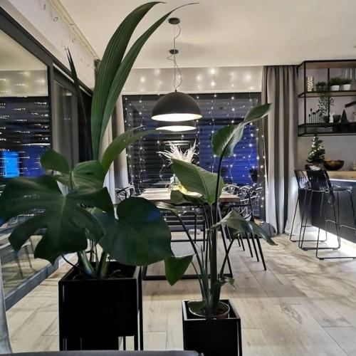 Наверное, каждый мечтает иметь такой загородный домик, чтобы сбегать в него от городской суеты. 02