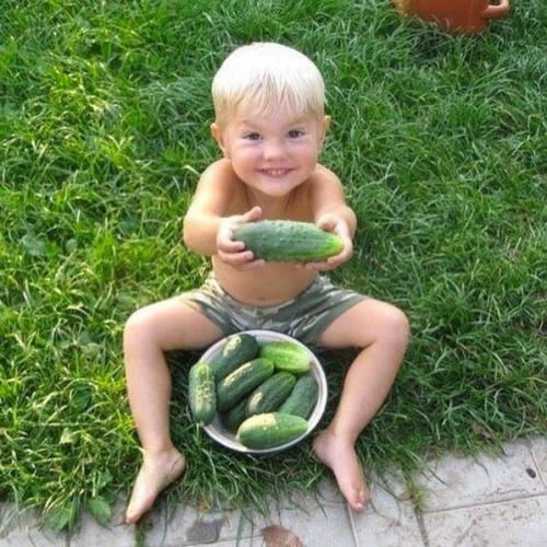 Летние месяцы в деревне, у бабушки - это одно из самых ярких воспоминаний из нашего детства. 04