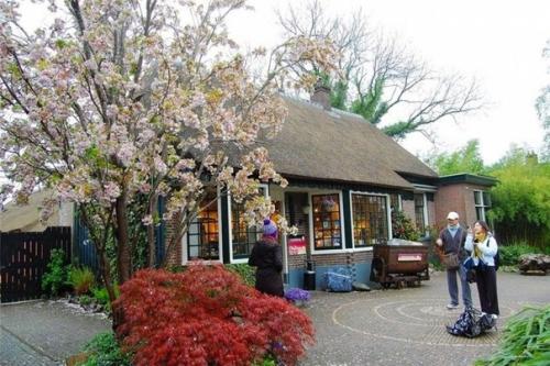 В деревне гитхорн нет дорог, но это не смущает жителей. 06