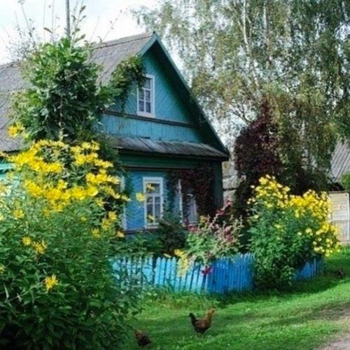 Летние месяцы в деревне, у бабушки - это одно из самых ярких воспоминаний из нашего детства. 05