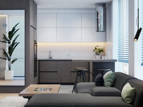 Дизайн кухни гостиной площадью 21. 05