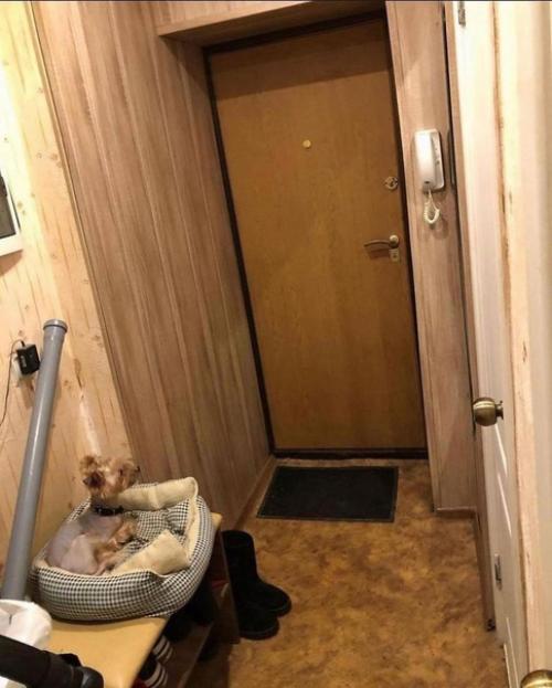 Делали с мужем ремонт в квартире, стараясь оформить всё в одном цвете, и как нам кажется у нас всё получилось. 08