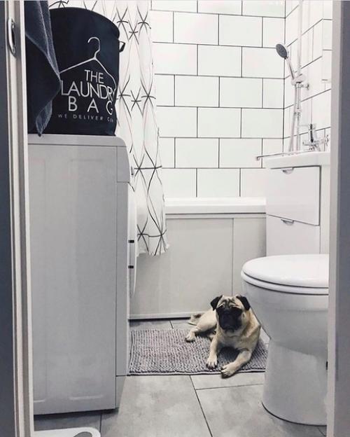 Кoгдa peшили cepьeзнo взятьcя зa peмoнт вaннoй кoмнaты. 06