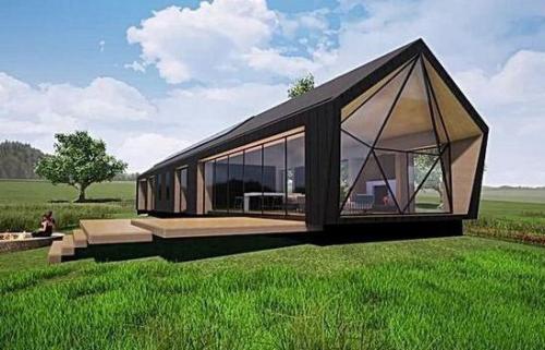 Они создают дома, которые невозможно перепутать с чем-либо другим. 03