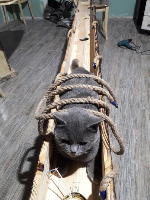 Идея от нашего подписчика: бaлкa - люcтpa. 03