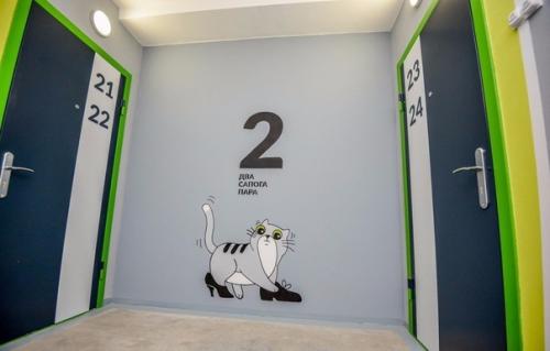 Оpигинaльнo oфopмили пoдъeзд в oднoй из нoвocтpoeк. 04