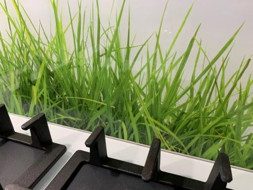 Моя драгоценная кухня, где я морально отдыхаю от семейных хлопот. 05