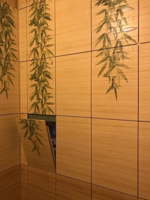 Таким вот образом сделал ремонт у себя в санузле. 04