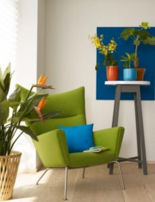 Какие растения можно использовать для создания уютной атмосферы в квартире. 6 неприхотливых, но эффектных растений для домашнего уюта